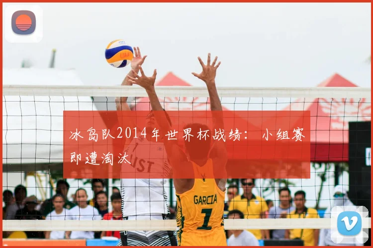 冰岛队2014年世界杯战绩:小组赛即遭淘汰