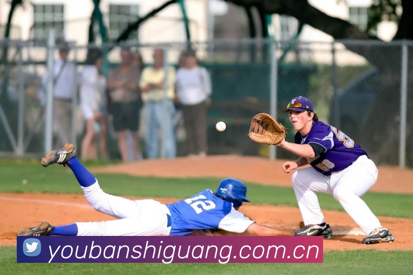 mksports体育平台生态图